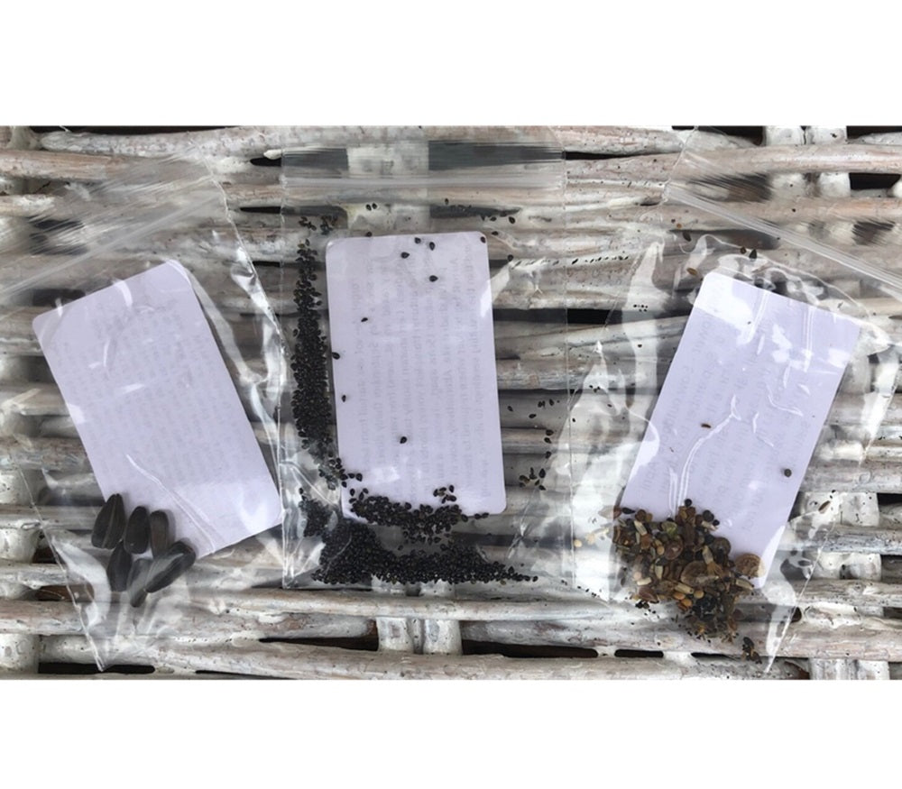 Personalised New Home Seed Packet Announcements, Change of Address Envelopes, White and Kraft Paper Options with Sunflower, Forget-me-not and Wildflower Seed Choice