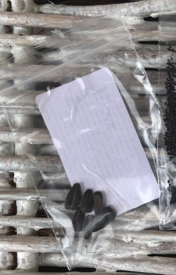 Advice From A Sunflower - Personalised Gift Sunflower Seed Envelopes